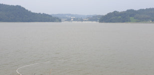 사천만 담수화로 어패류 씨 말랐다