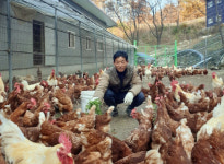 함양 약초골농원 강구영 대표, 유기·무항생제 축산 최우수상