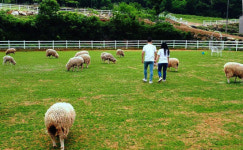 경남도, 산지생태축산농장 3개소 추가