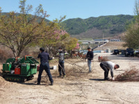 하동군 적량면 관광객 맞이 환경정화활동 실시