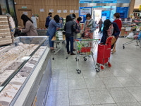 통영시, 울릉도산 미역취나물 무상 분양