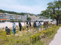 창원 양덕여중 텃밭·꽃터널 가꾸기