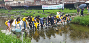 창원 양덕2동·가고파초 학생, 산호천에 미꾸라지 방류