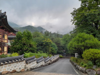 스토리텔링이 있는 힐링여행 [120]지리산 대원사 템플스테이