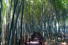 [시민기자]바쁜 일상에 쉼표, 진주 가좌산에 찍다