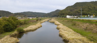 스토리텔링이 있는 힐링여행 [123]사천 매향비 순례길과 다솔사 힐링길