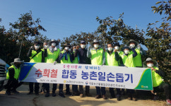 농협진주시지부-농관원-대곡농협, 단감 수확 일손 돕기
