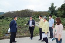 진해구, 웅동수원지 벚꽃단지 진해의 관광명소로 탈바꿈