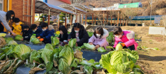 마천초 병설유치원, 겨울맞이 김장체험행사