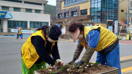 거제 동부면, 주요거리 봄꽃 식재