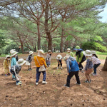 거제시, 올 상반기 유아숲교육 운영