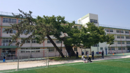도교육청 우리 학교 나무 잘 키우겠습니다