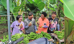 TV예능 자급자족원정대 산청서 농산물 수확 체험