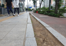 인도 옆 녹지대 안전사고 유발 애물단지 전락