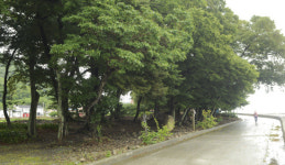 남해 바래길을 가다[7]구운몽길(9코스)