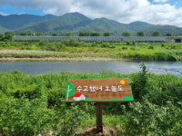 창원 마산합포구 진전면, 사계절산책길 조성