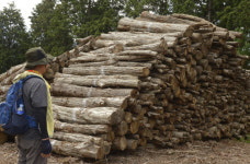 남해 바래길을 가다 [9]화전별곡길(7코스)