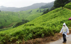 남해바래길을 가다[12]고사리밭길(4코스)