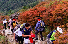 일상회복 주말 지리산, 천왕봉 가는 길 줄섰다