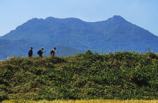 남해바래길을 가다[14]비자림해풍길(2코스)