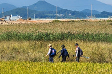 남해바래길을 가다[14]비자림해풍길(2코스)