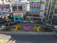 통영 무전사거리, 국화꽃밭 조성