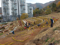 창원 의창구 의창동, 소계플라워랜드 조성사업 완료