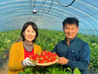[인생2막 푸른 도전] 통영 듬뿍농원 강성희 대표