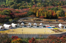 월아산 숲속의 진주, 본격 운영 첫해 성공적