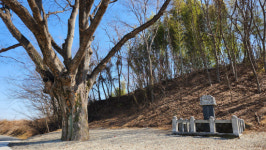 경남의 고문헌 [7]찾아가는 고문헌 도서관 상담