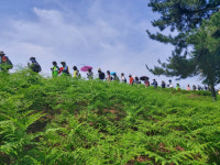 남해바래길 6월 작은소풍 고사리밭길