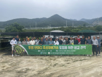 산청군, 두릅 촉성재배 기술 비교견학 실시