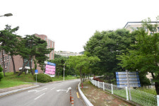 한국국제대 결국 파산 선고