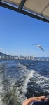 [창원의 핫플레이스] 마산 돝섬