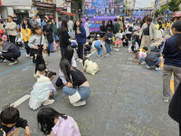 제29회 거제시민의 날 모두가 즐겼다