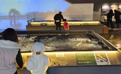 진주익룡발자국전시관 한반도 지질의 비밀 특별전 개최