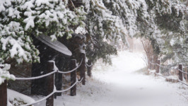 지리산은 눈꽃 세상