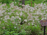 [최광임의 디카시 행진 140] 나이가 벼슬 (이계주)