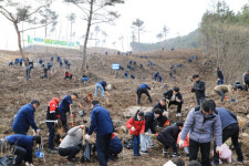 경남도, 함양서 2024년 나무심기행사 개최