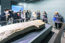 일본 관광객 말이산고분군 감탄