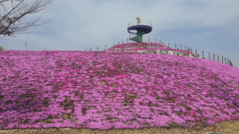 거창창포원 산림관광 200만 시대 연다