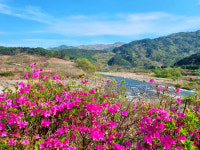 [시민기자]용유담~함허정 25리 선계길 화산십이곡