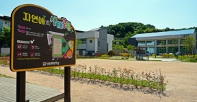 초록빛으로 물든 봉원중 생태운동장