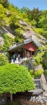 스토리텔링이 있는 힐링여행[158]청도 운문사 솔바람길