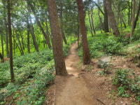 [맨발의 청춘]창원시, 도심 속 힐링공간 보행산책로