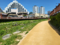 [맨발의 청춘]창원시, 도심 속 힐링공간 보행산책로