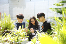 송추조경원예 | 경남도립남해대학 원예조경과 자격증 '풍작'