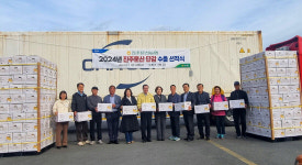 진주문산농협 진주 단감 18t 캐나다 첫 수출