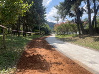 [맨발의 청춘]발끝으로 느끼는 자연 통영 맨발길