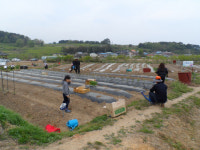 창원시, 주말농장 분양 선착순 접수